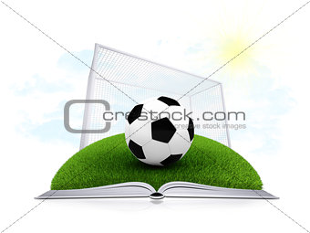 Soccer ball and gate on an open white book