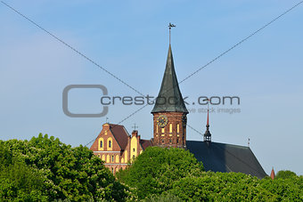 Koenigsberg Cathedral on the Kneiphof island. Kaliningrad, Russia