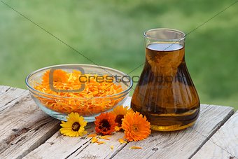 Calendula flowers and oil