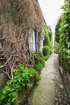 Footpath between old English country cottages in village