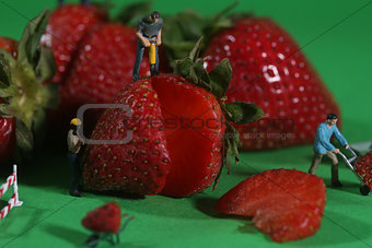 Construction Workers in Conceptual Food Imagery With Strawberrie