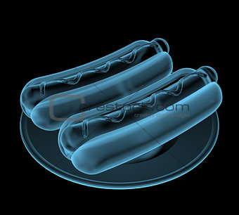 Fast food hot-dog x-ray blue transparent isolated on black