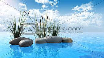 Rocks and reeds on water