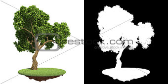 Green Tree on Grass with Detail Raster Mask.