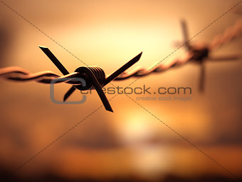 Barbed Wire Dof