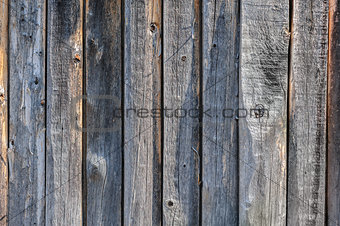 gray aged wooden boards background