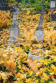 Old cemetery 