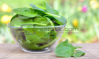 spinach 
