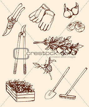 Hand drawn garden tools