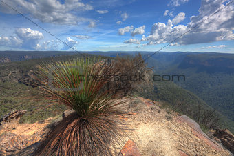 Buramoko Ridge Blue Mountains National Park Australia