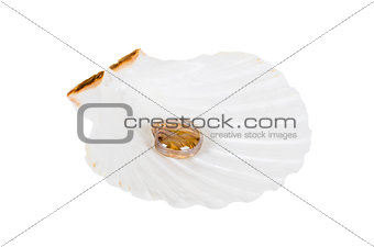 Glass pearl in ocean shell isolated