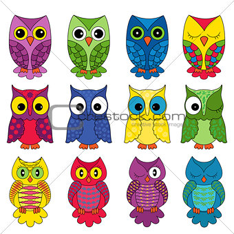 Set of sixteen owls