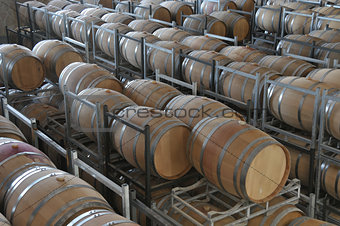 Wine aging in barrels
