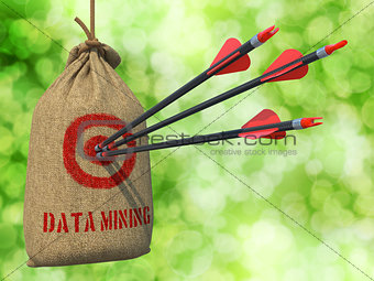 Data Mining - Arrows Hit in Red Mark Target.