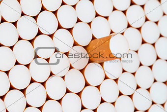 filters of cigarettes