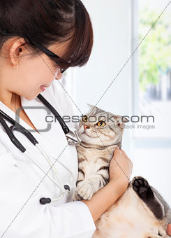 young female vet holding the sick cat at clinic