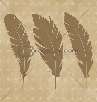 Set vintage feathers on grunge background
