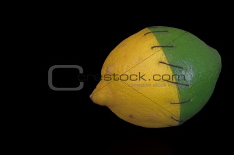 Stitched Lemon and Lime