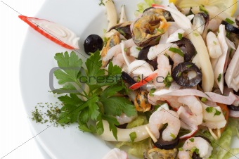 shrimp and mussel salad