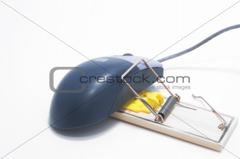 Trapped Computer Mouse