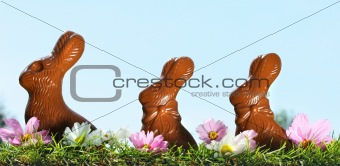 Chocolate rabbits in the grass