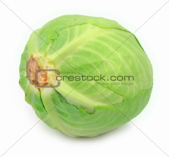 cabbage head