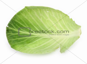 single cabbage leaf