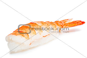 Sushi shrimp and rice on a white background
