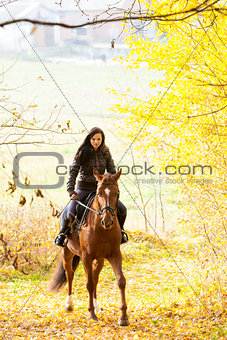 equestrian on horseback in autumnal nature