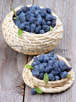 Honeysuckle Berries