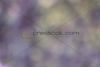 Abstract holiday background