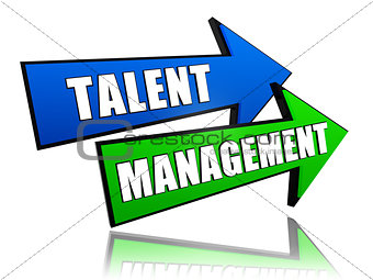 talent management in arrows