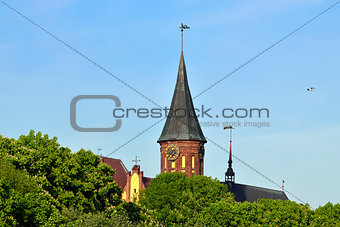 Koenigsberg  Cathedral on the Kneiphof island. Kaliningrad, Russia