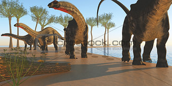 Apatosaurus Dinosaur Shore