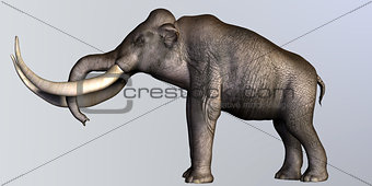 Columbian Mammoth Side Profile