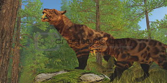 Saber-Toothed Cat Forest