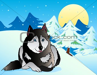 Dog lying in snowy landscape
