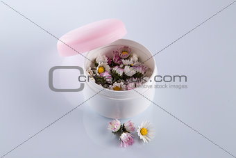 Daisies in cosmetic cream box