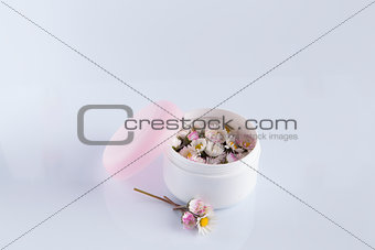 Daisies in cosmetic cream box