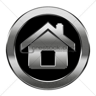 home icon silver, isolated on white background
