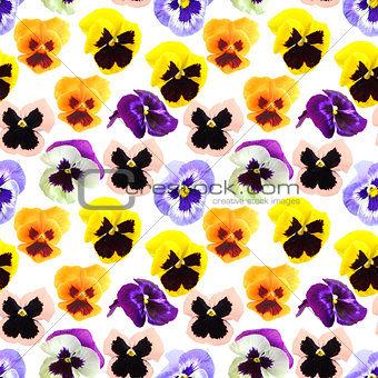 Seamless pattern of pansyes flowers