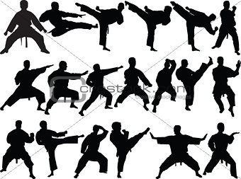 big collection of karate - vector