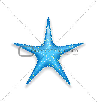 Blue starfish isolated on white background