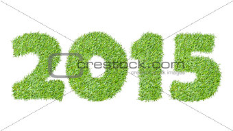 New year 2015 from the green grass, isolated on white