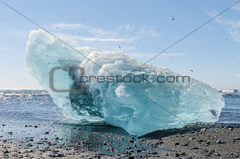 Iceberg on the beach of Jokulsarlon Ice Lagoon