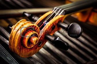 Detail of violin head with string background