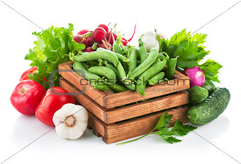 Fresh vegetables with greens