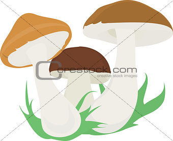3 mushroom.