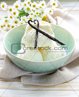 homemade creamy vanilla ice cream with natural vanilla sticks