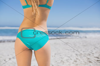 Rear view of fit woman in bikini on beach